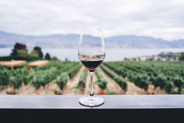 Quelles stratégies les petits producteurs de vin peuvent-ils mettre en œuvre pour promouvoir l'œnotourisme ?